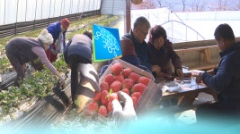 경기도, 노인 일자리 농촌 공동 농장 확대