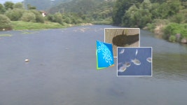 경기도, 전국 첫 민물고기 복원 생태지도 만든다