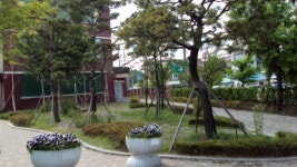 수원시, 학교 숲 조성 사업 박차