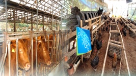 전염병 막는다…경기도, 전국 최초 가축행복농장 시행