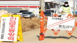 경기 평택 산란계 농가 고병원성 AI 확진