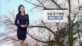 공기 청정…내일 전국 비 '서늘'