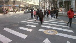 횡단보도 무단횡단 사망…법원 버스기사 무죄
