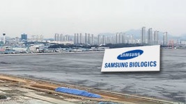 삼성바이오로직스, 송도 11공구 제공 타당한가