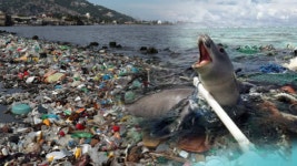 환경의 역습…플라스틱 사용 줄여라