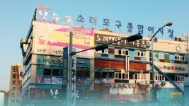 잿더미 소래포구 어시장 현대화 시장 부활