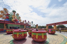 누구와 함께 해도 완벽한 제주…알차게 즐기는 방법