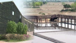 인천 소래습지공원, 수도권 생태관광 1번지로