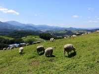 자연이 빚어낸 최고의 걸작…강원도 바다부채길