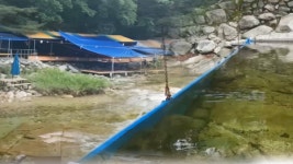 계곡 불법 69곳 적발…평상·보 설치 천태만상