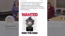 [오늘의 세계] 농장 탈출 후 도주 에뮤 공개 수배