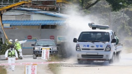 파주 돼지열병 의심 농장 2곳…모두 음성 판정