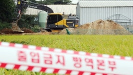 양주 아프리카돼지열병 의심사례 음성