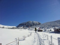 겨울 제주도 여행의 백미 