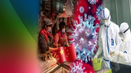 美, 코로나19 발원지 우한 실험실 가능성 제기