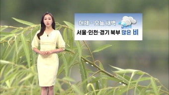 곳곳 오늘 낮까지 비…중부는 낮동안 소강상태