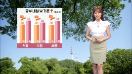 내일 서울 낮 33℃…영남·강원 폭염주의보