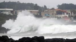 9호 태풍 마이삭 오늘 제주 상륙…내일까지 영향
