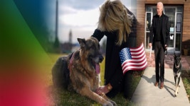 美 대통령들의 반려견 사랑, 그 이유는?