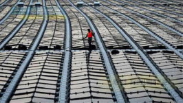 [월드 인 프레임] 떠다니는 태양열 농장