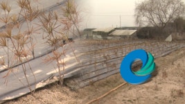 투기 의혹 인천 계양신도시…조사 확대해야