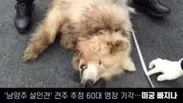 [경인오늘] 남양주 살인견 견주 추정 60대 영장 기각…미궁 빠지나