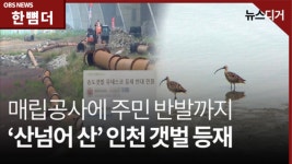 [한 뼘 더2] 인천 갯벌, 세계유산 등재까지  과제 산적