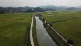 시흥 갯골길, 가을 정취 물씬 풍기는 풍요로운 생명의 땅