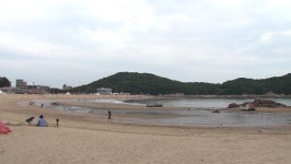 안산시, 대부도 방아머리 해변 차양시설 설치 금지