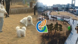 오산시 반려동물 테마파크 개장…대표 관광지 기대