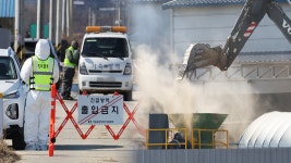 평택 닭 농장서 고병원성 AI 확진…방역 비상