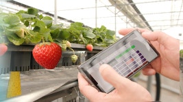 기술과 열정으로 부농 꿈꾸는 강소농 눈길