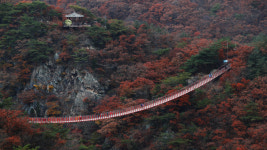 파주 감악산, 2025년까지 국립 자연휴양림 조성