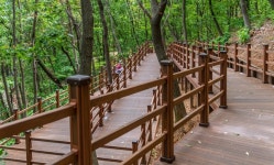 남양주시, 27일 무장애 산책로 갖춘 화도공원 개장