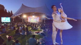 화려한 춤의 향연 수원발레축제 개막