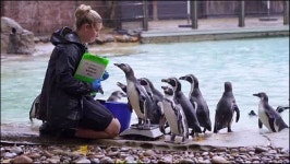 [월드 영상구성] 호랑이부터 개미까지 건강검진