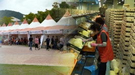 이천 장호원 복숭아 축제, 4년 만에 내일 개막