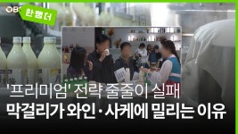 [한 뼘 더] 지역 막걸리도 고급화…소비자는 값싼 술