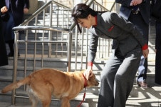 김 여사, 시각장애 학생들 만나 새롬이 되겠다