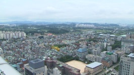 인천 지역 22개 노선 명품 가로수길 조성