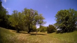 [오늘의 세계] 미국, 비명 듣고 구조 나선 경찰들…누구냐 넌?