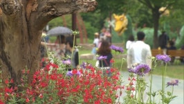 인천 도시 숲 3개소…산림청, 모범 도시 숲 인증