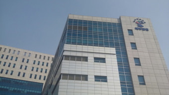 5억대 사기 쳐 도박 탕진한 전직 축구선수 실형