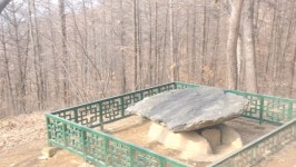 고인돌 대표 유적, 강화 외 파주 덕은리도 실려야