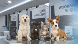 2027년 펫푸드 수출 5억 달러 달성