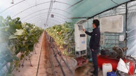 스마트팜의 진화 온실 종합관리 플랫폼 개발