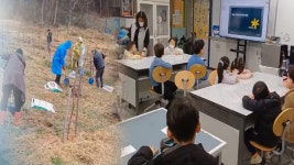 [인섬] 덕적도를 푸르게…주민 환경 교육