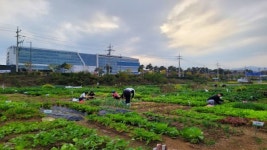 성남시, 65세 이상 시민에 텃밭 무료 분양