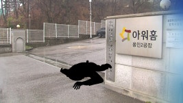 [단독] 노동자 끼임 사고 아워홈, 또 안전사고 의혹