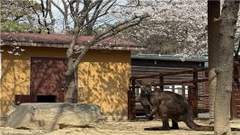 인천대공원 어린이동물원 22일부터 개방